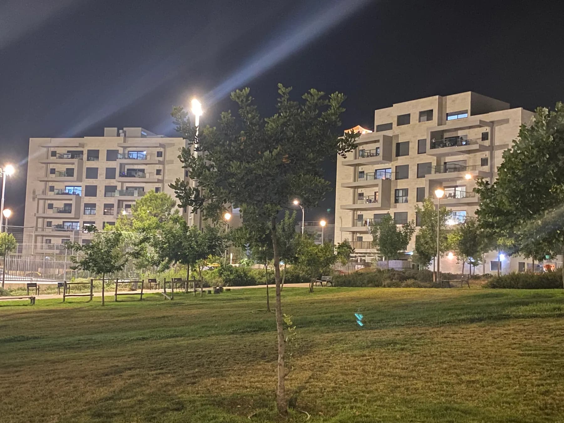 A park lawn with young trees and benches at night in Harish, with lit apartment buildings behind.