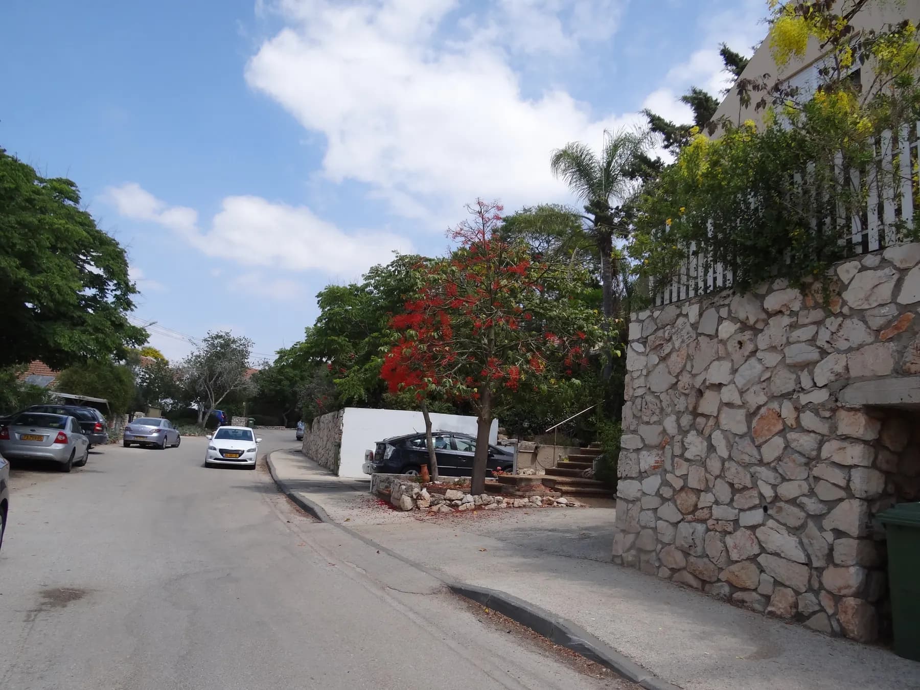 A residential street in Hoshaya with a red-flowering tree, a palm and a tall stone retaining wall, and a few cars parked along the kerb.