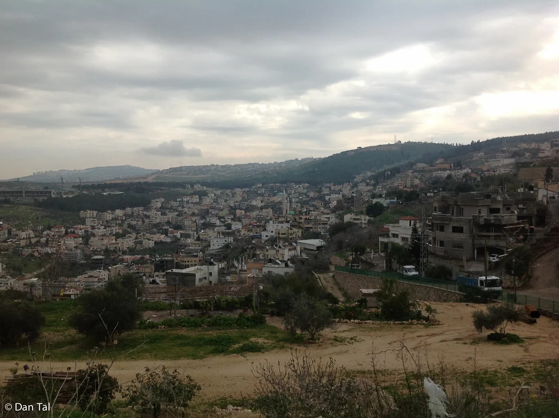 בתי עילוט ממלאים עמק ומטפסים על המדרונות שמעבר לו, במבט מגבעה עם עצי זית ושטח עפר, תחת שמיים מעוננים.