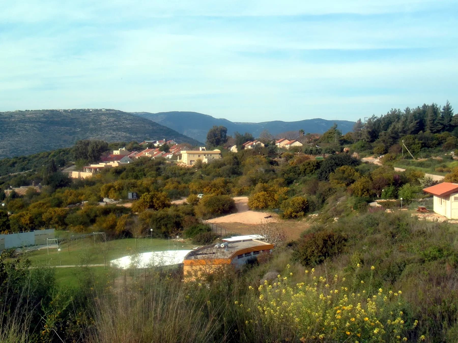 Red-roofed houses among green trees and bushes on a hillside in Lotem, with a grassy sports field below, yellow wildflowers in front and green hills beyond.