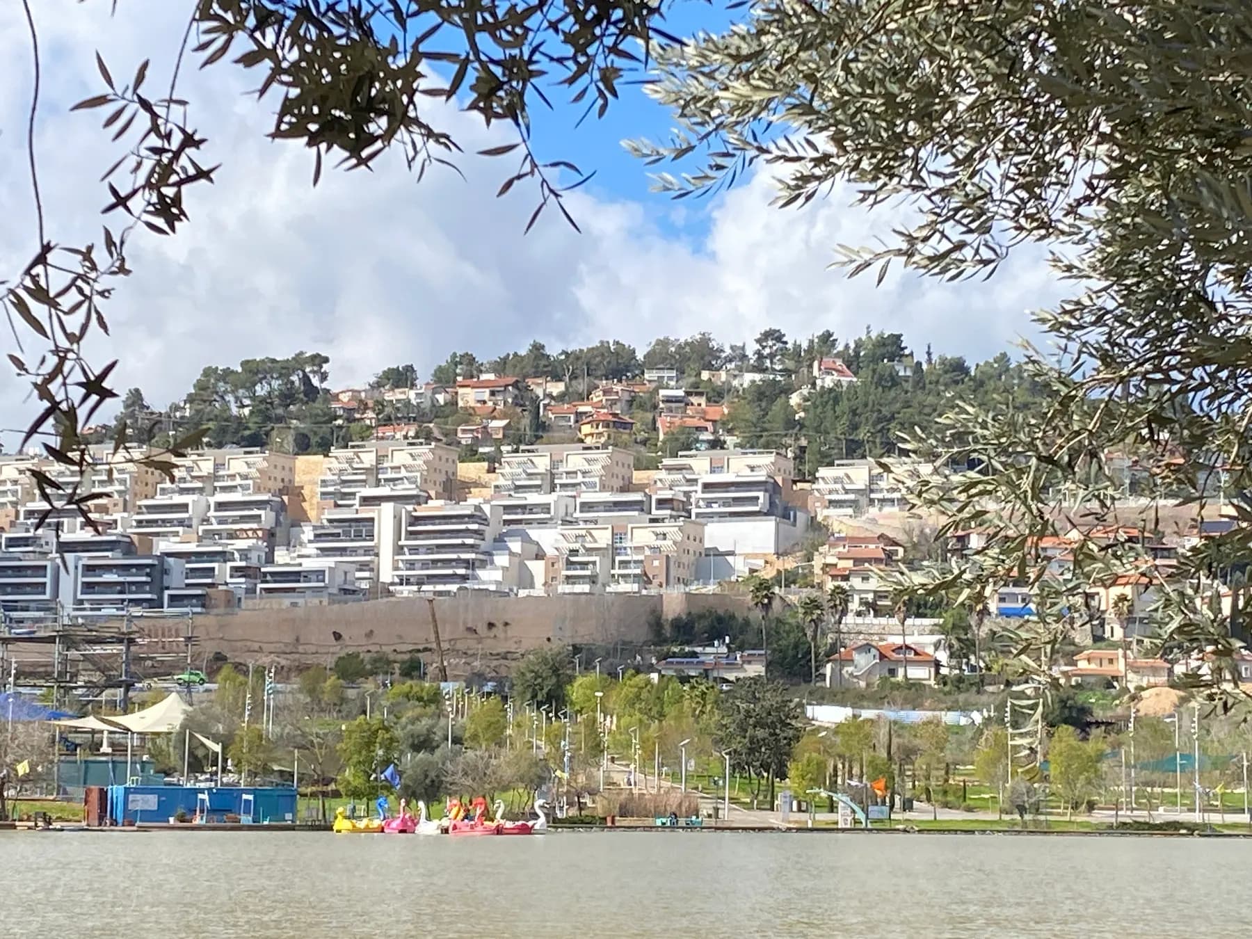 Apartment buildings on the hillside above the lake in Montfort Park in Maalot-Tarshiha, seen through olive branches.