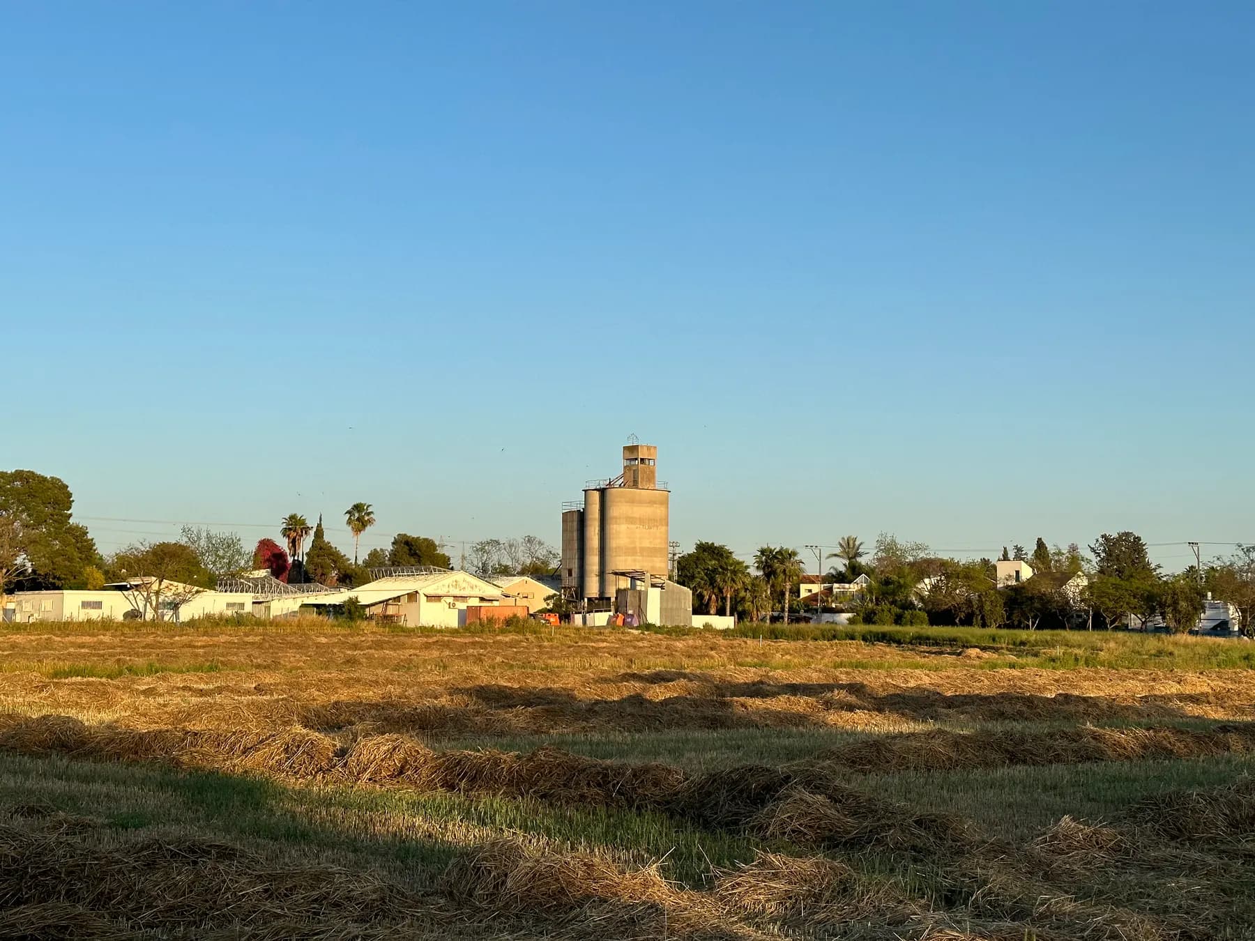 A harvested field in the middle of Magshimim, with farm sheds, houses and a tall silo behind it under a clear sky.