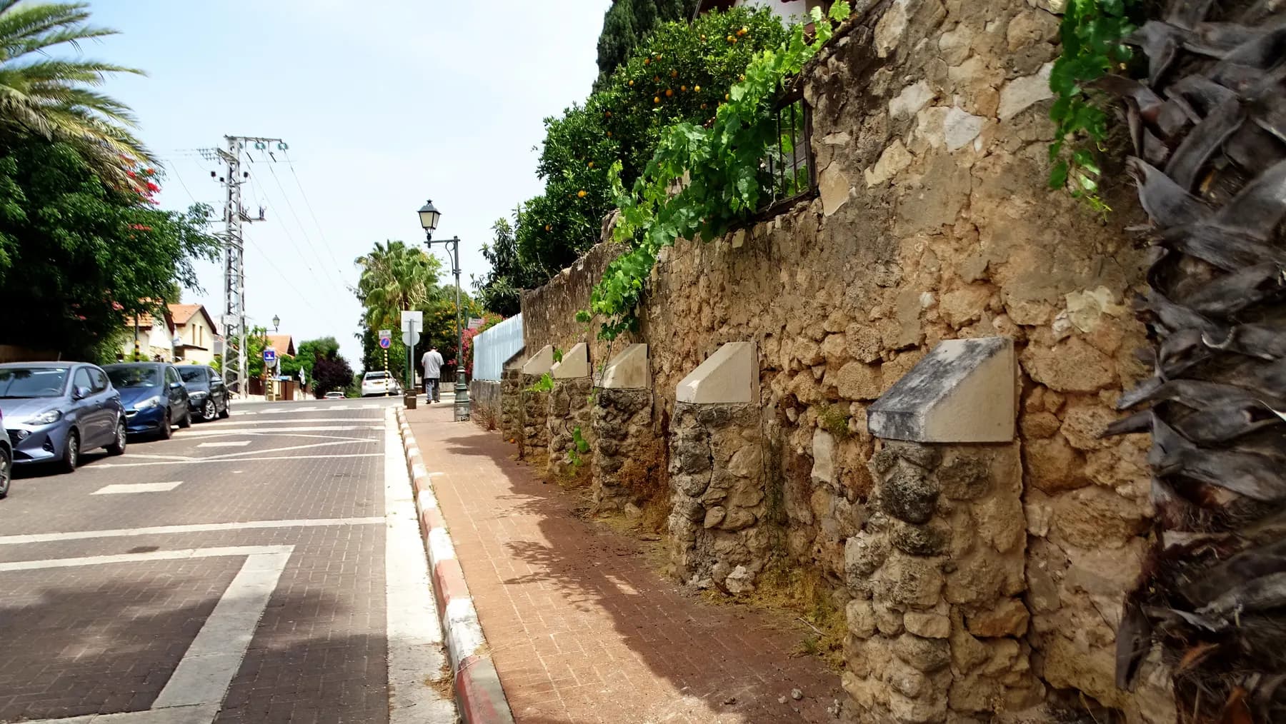 A quiet street in Mazkeret Batya lined with an old stone wall, palm trees and parked cars.