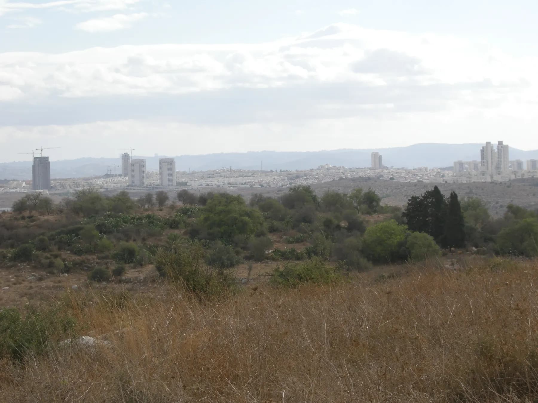 The towers of Modi'in seen across open scrubland, with cranes on some buildings and hills behind.