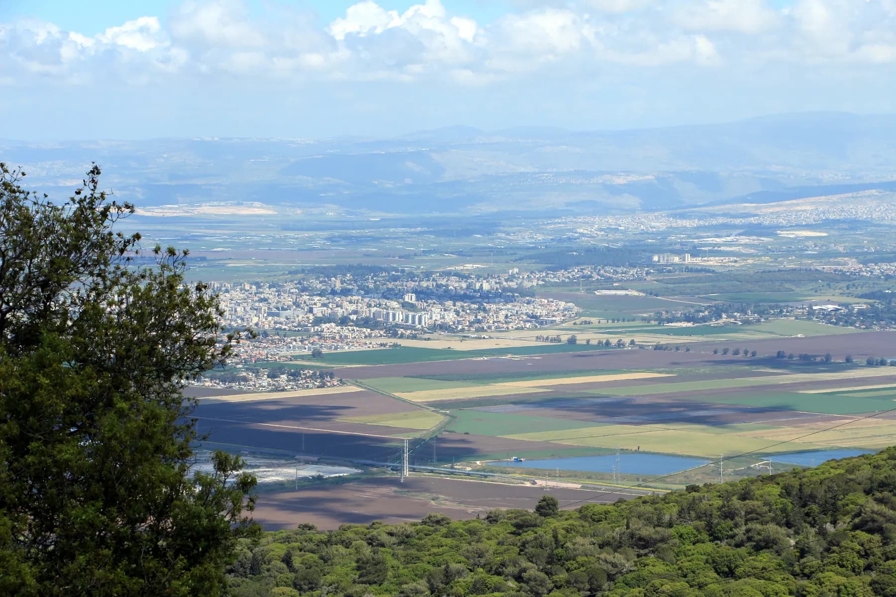 The view from the Khorshat ha-Arbaim grove in Nesher over green fields and towns in the valley below.