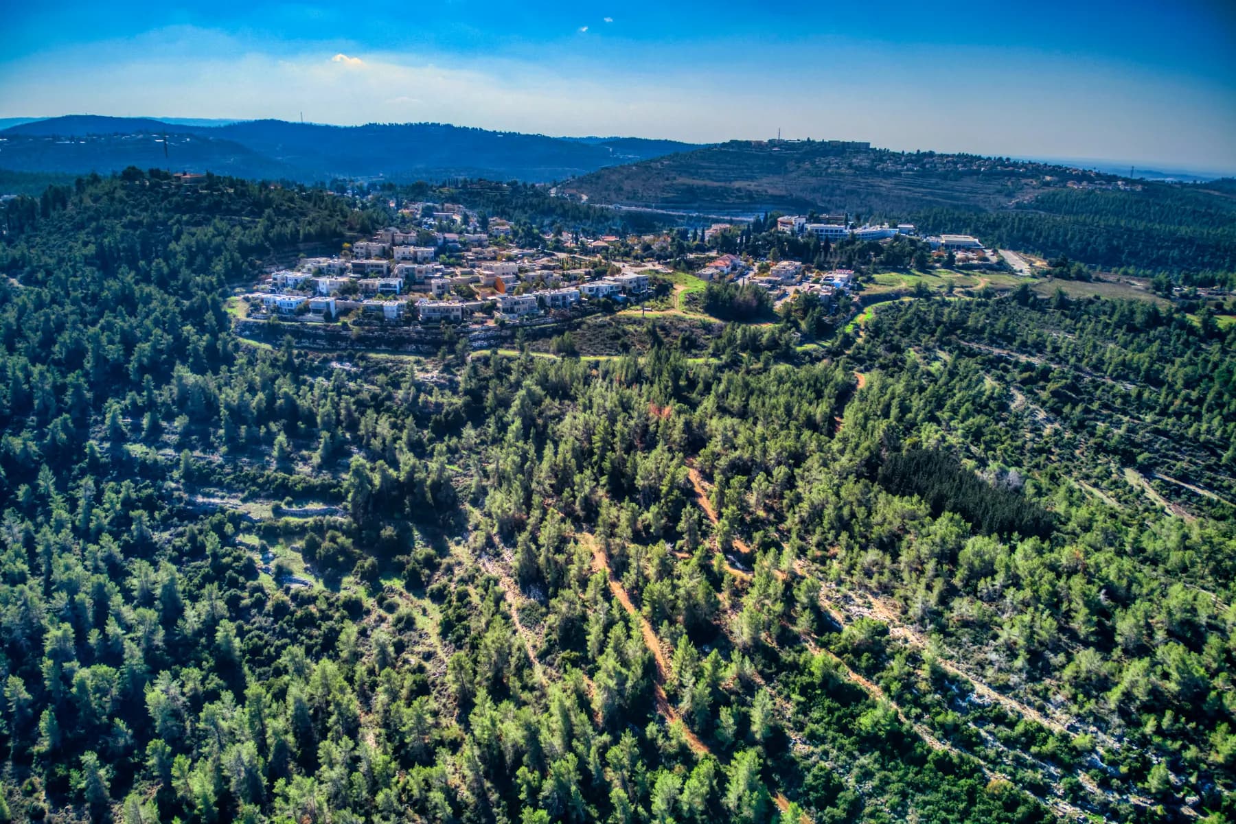 An aerial view of Neve Ilan, its buildings clustered on a hilltop surrounded by pine forest, with wooded hills stretching to the horizon.