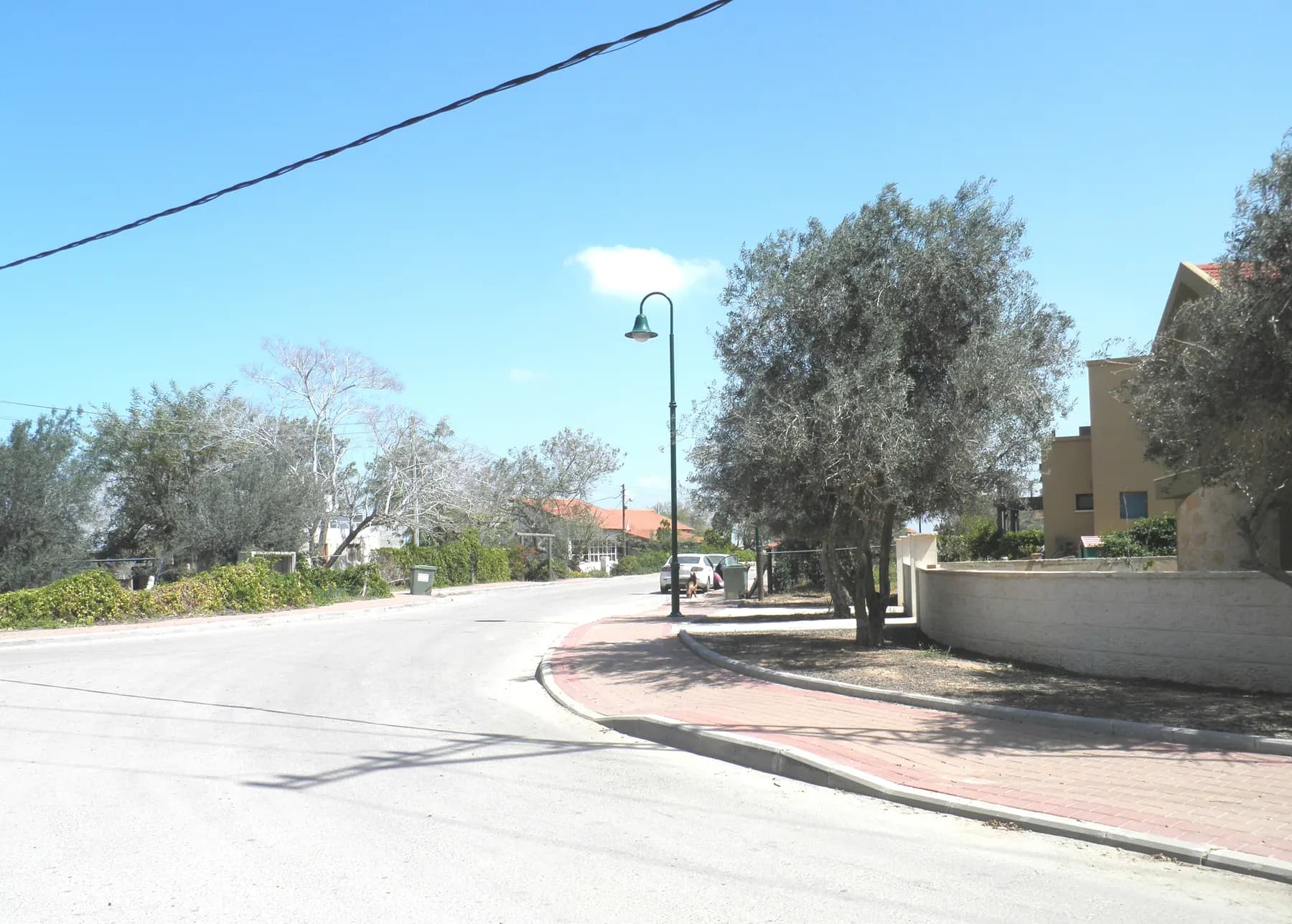 A street in Nir Akiva curving past a red-paved pavement, olive trees and street lamps, with a house behind a wall on the right.