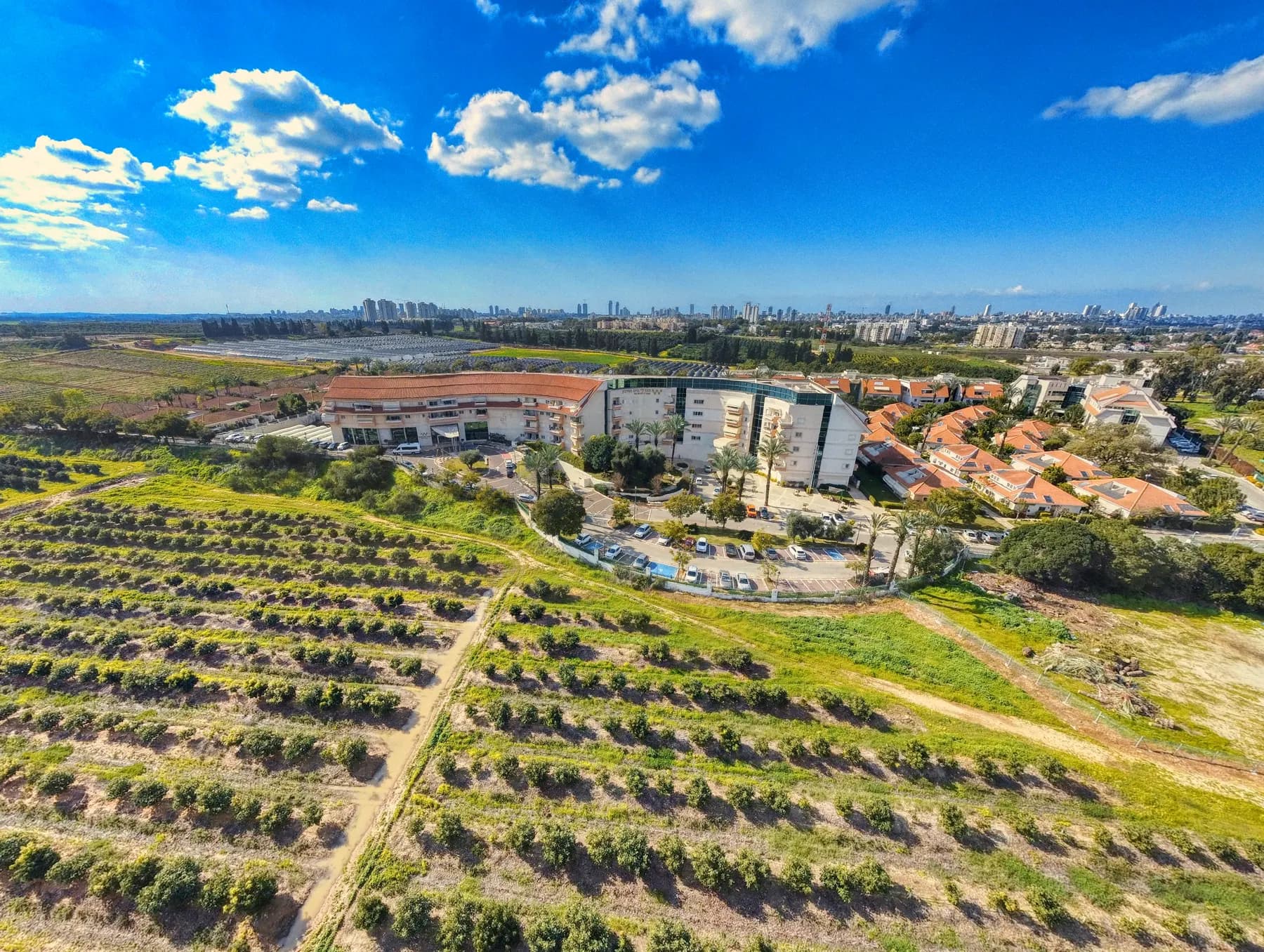 A view from above over rows of orchard trees towards a large building with red-roofed houses beside it in Nordia, with the towers of Netanya on the horizon.