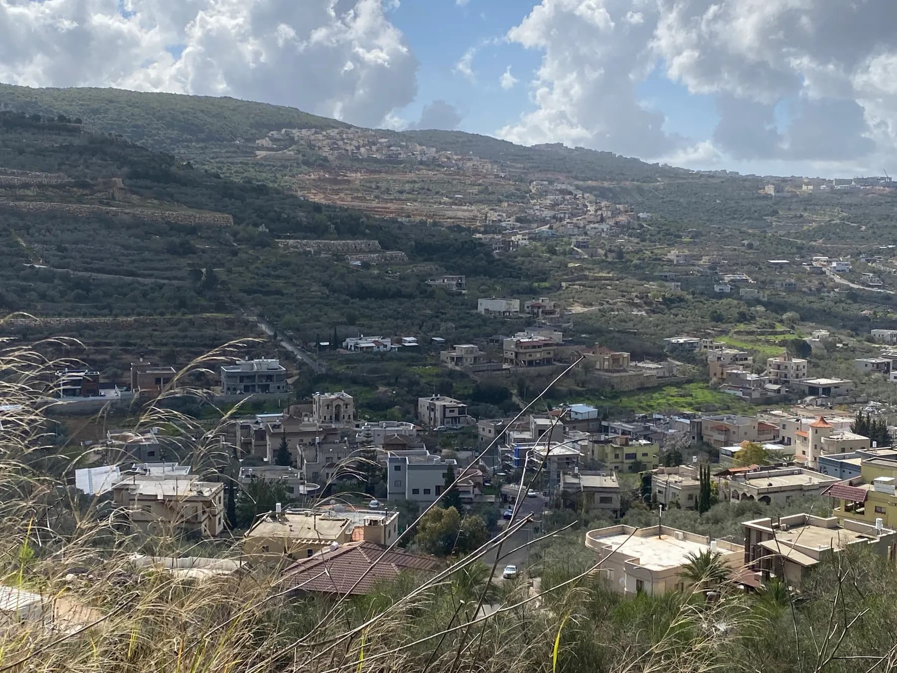 Houses of Peki'in filling a valley below terraced green slopes, seen from a hillside above.