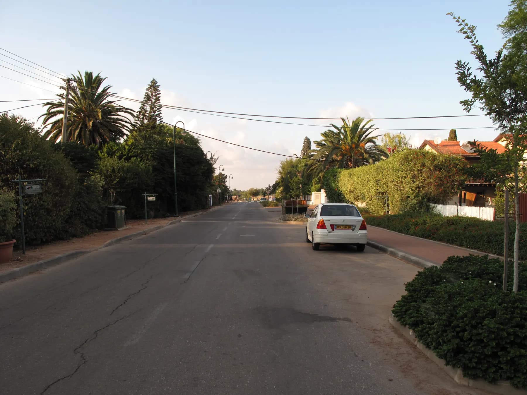 רחוב מגורים שקט ברשפון, עם גדרות חיות, דקלים ובתים עם גגות רעפים, ומכונית לבנה חונה בצד.