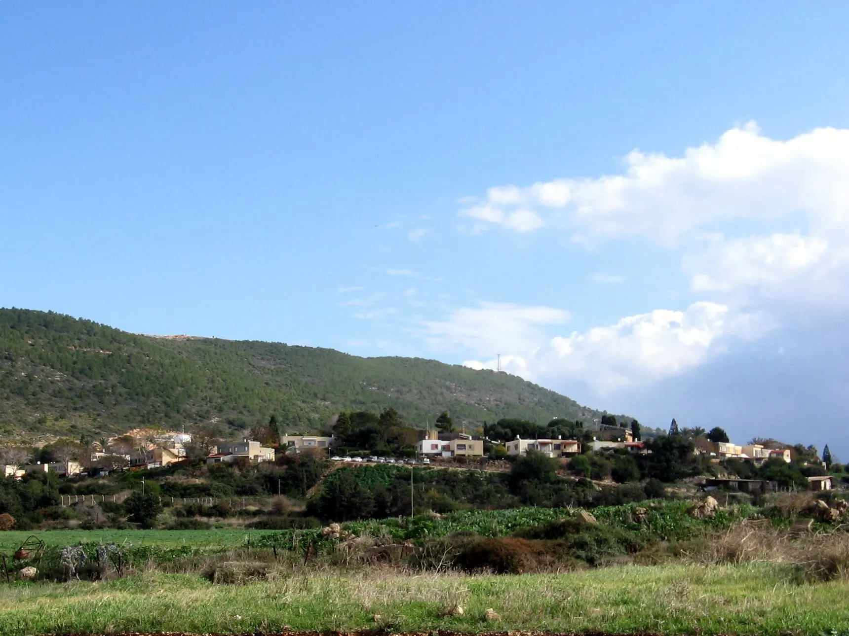 בתים נמוכים בכפר ראש הנקרה בין עצים למרגלות רכס ירוק ומיוער, ולפניהם שדות תחת שמיים כחולים עם עננים לבנים.