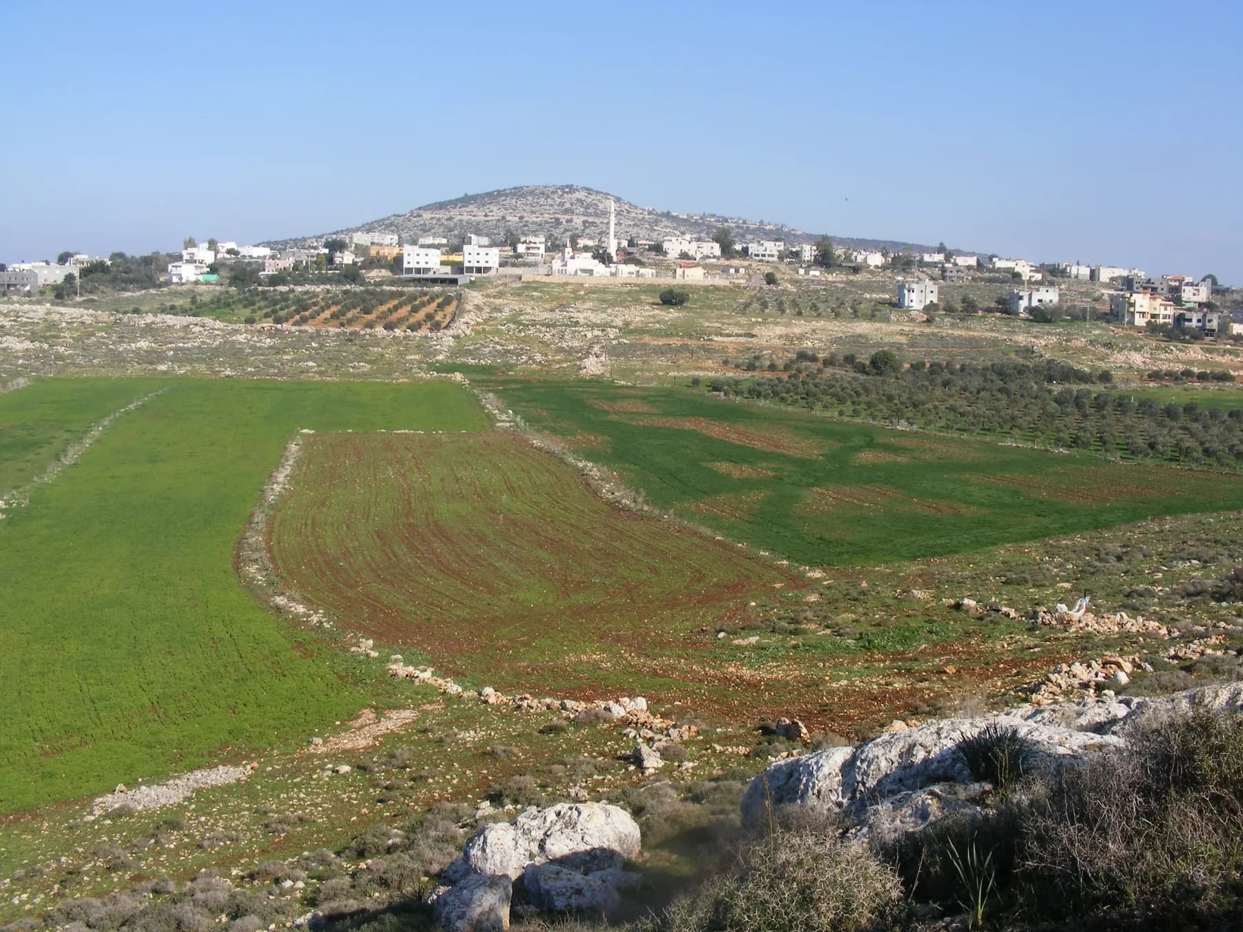 Houses and a minaret of Rumat al-Heib along a low ridge below a rounded hill, with green fields and olive groves in front.