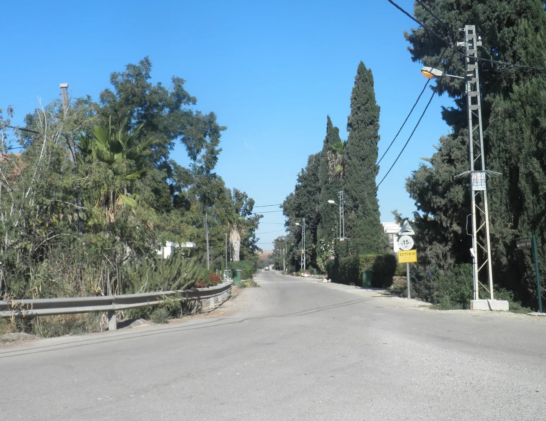 A quiet road through Sde Ilan lined with tall cypresses, palms and leafy trees, with a road sign at the roadside.