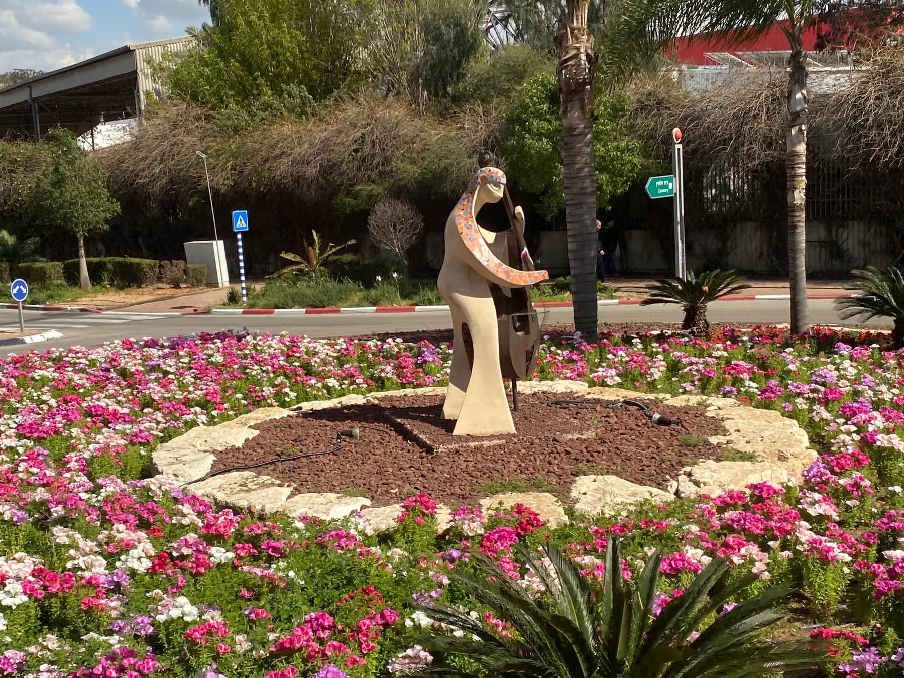 A stone sculpture of a musician with a cello on a roundabout planted with pink and white flowers in Sderot.