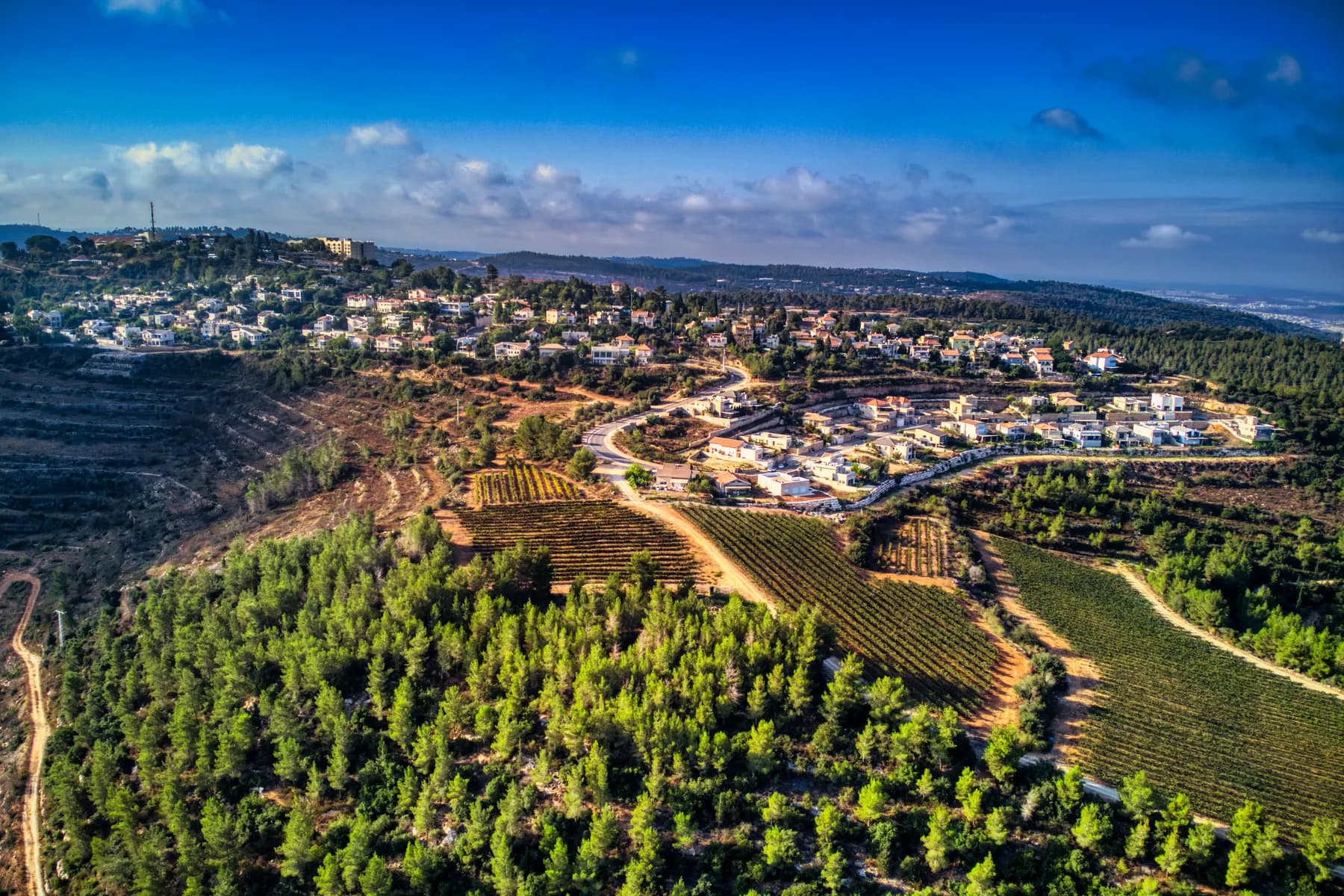 An aerial view of Shoresh, its houses spread along a wooded ridge, with terraced vineyards on the slopes below and pine forest all around.