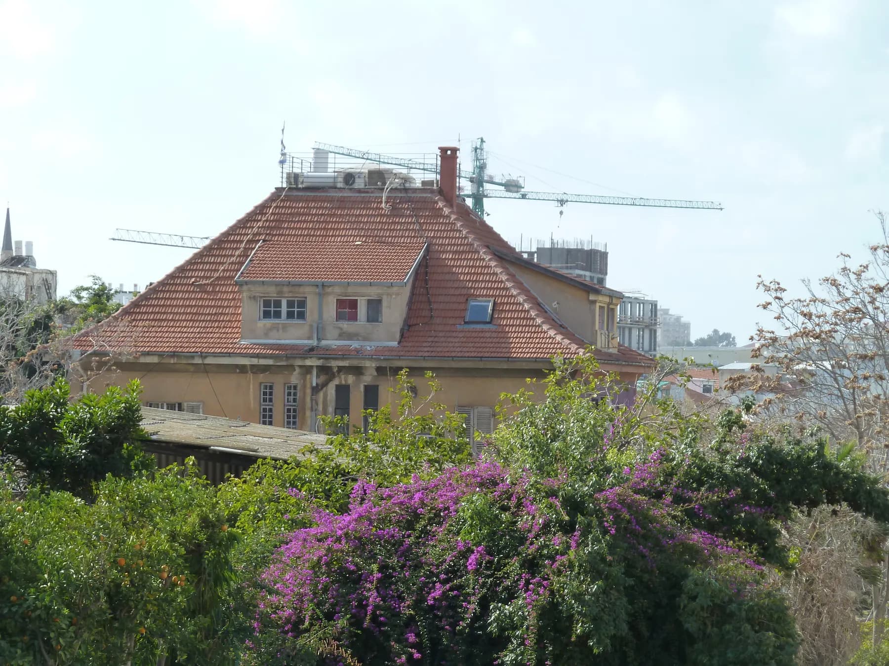 בית ישן בנווה צדק. היא נמצאת בקצה השכונה, במלון אלקונין, המלון הראשון של תל אביב