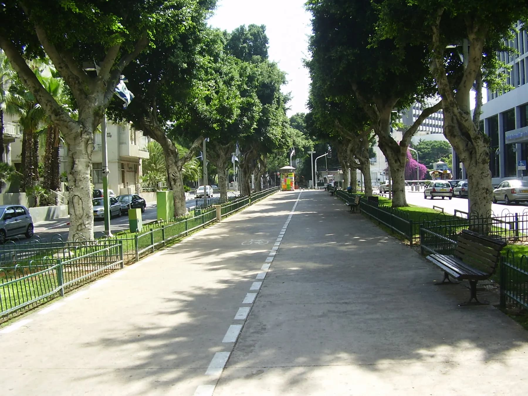 The tree-lined central walk of Rothschild Boulevard in Tel Aviv, with a kiosk and benches
