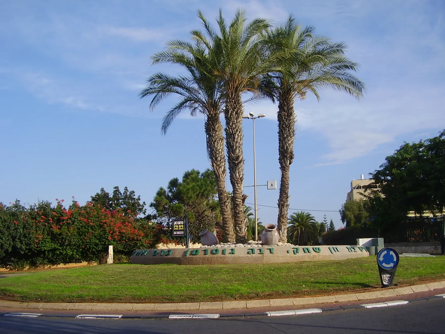 Tall palm trees and old clay jars on a landscaped roundabout at the Girls Square in Tel Mond, beside bushes with red flowers.