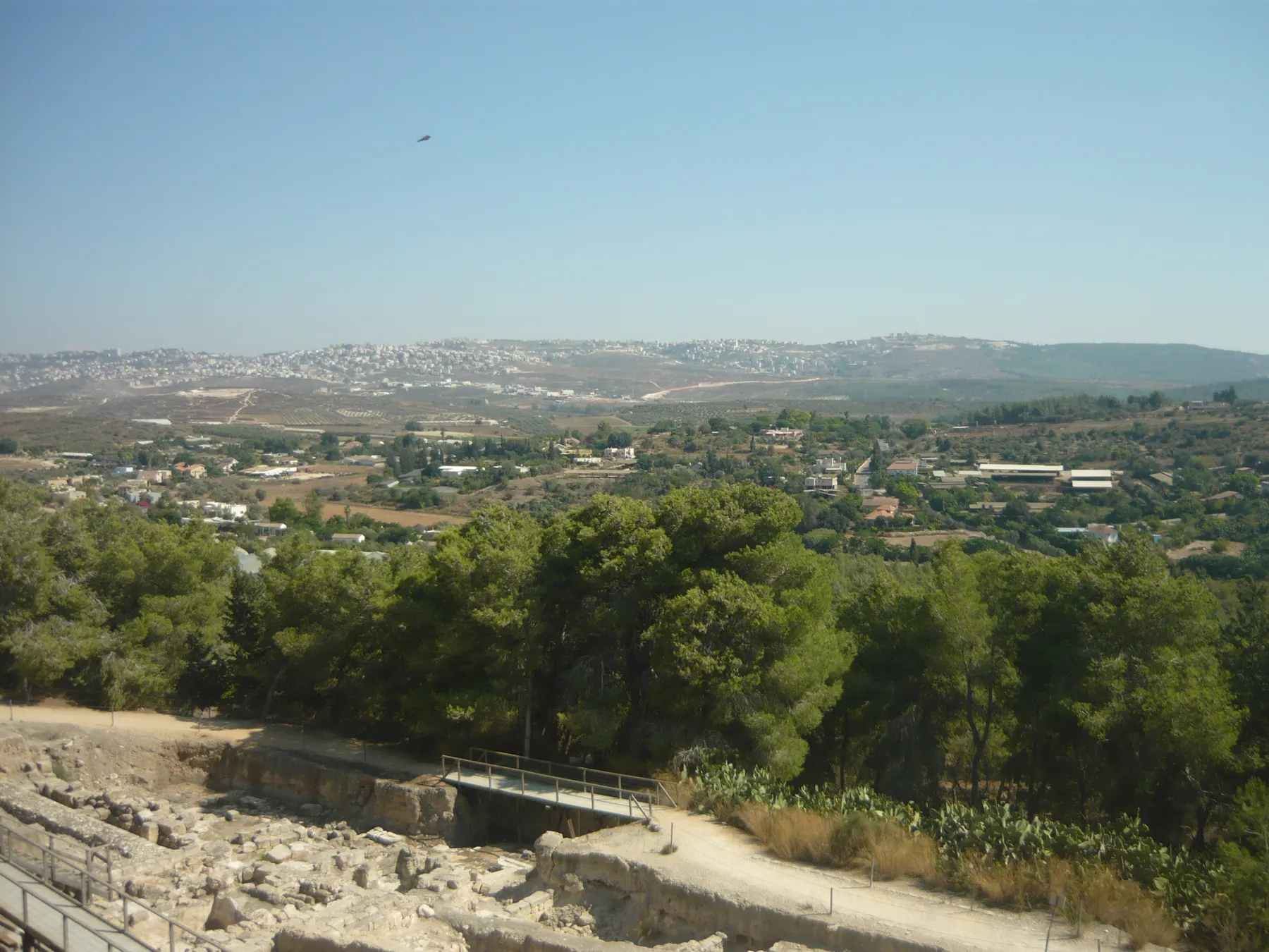 A view over pine trees to the houses and farm buildings of Tzippori spread across the valley, with a town on the ridge behind and stone ruins with a footbridge in the foreground.