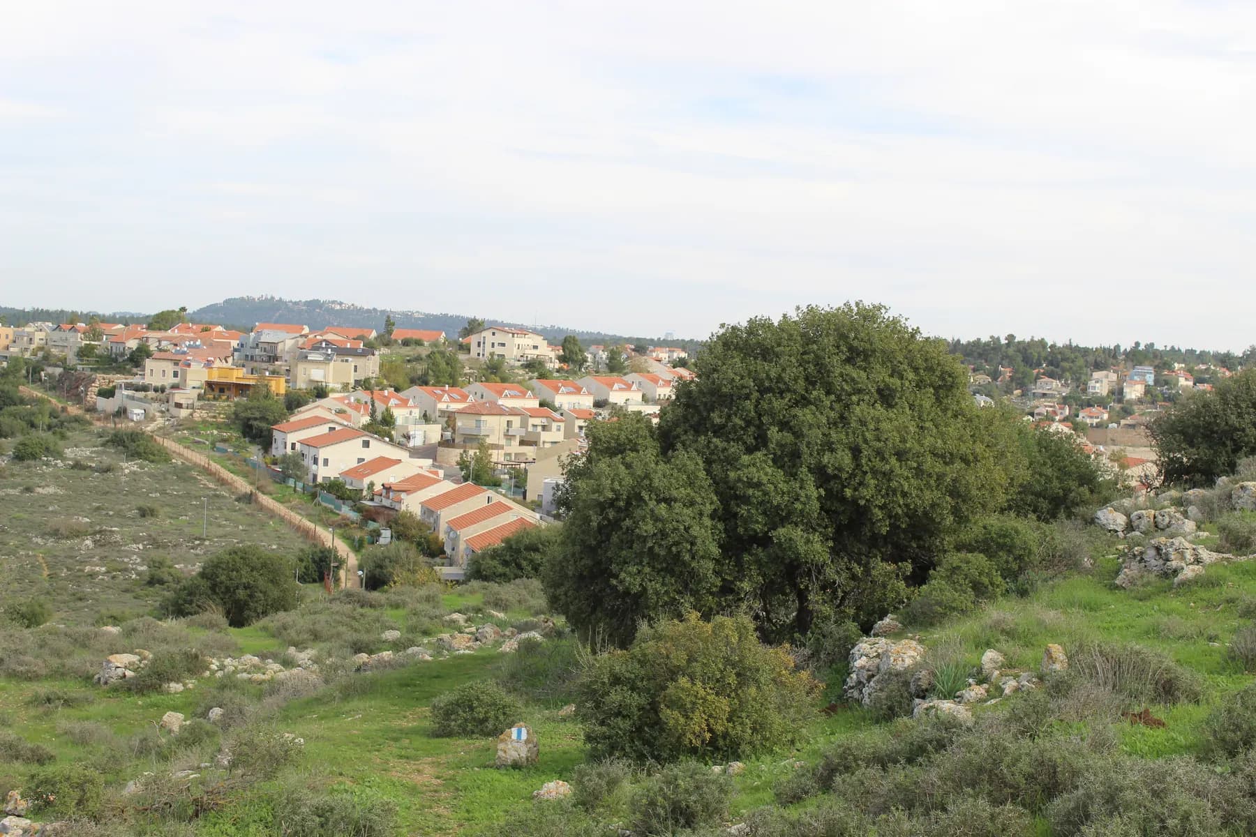 Red-roofed houses of Tzur Hadassah seen across a green, rocky hillside with a large tree.