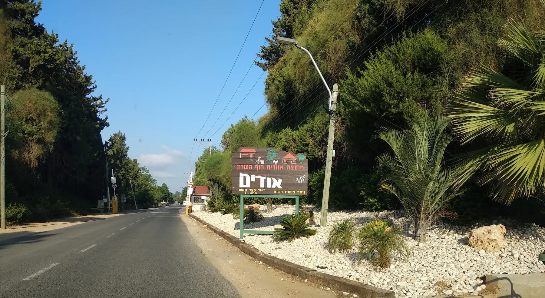 The entrance road into Udim, lined with trees and palms, with the village sign beside a bed of white stones.