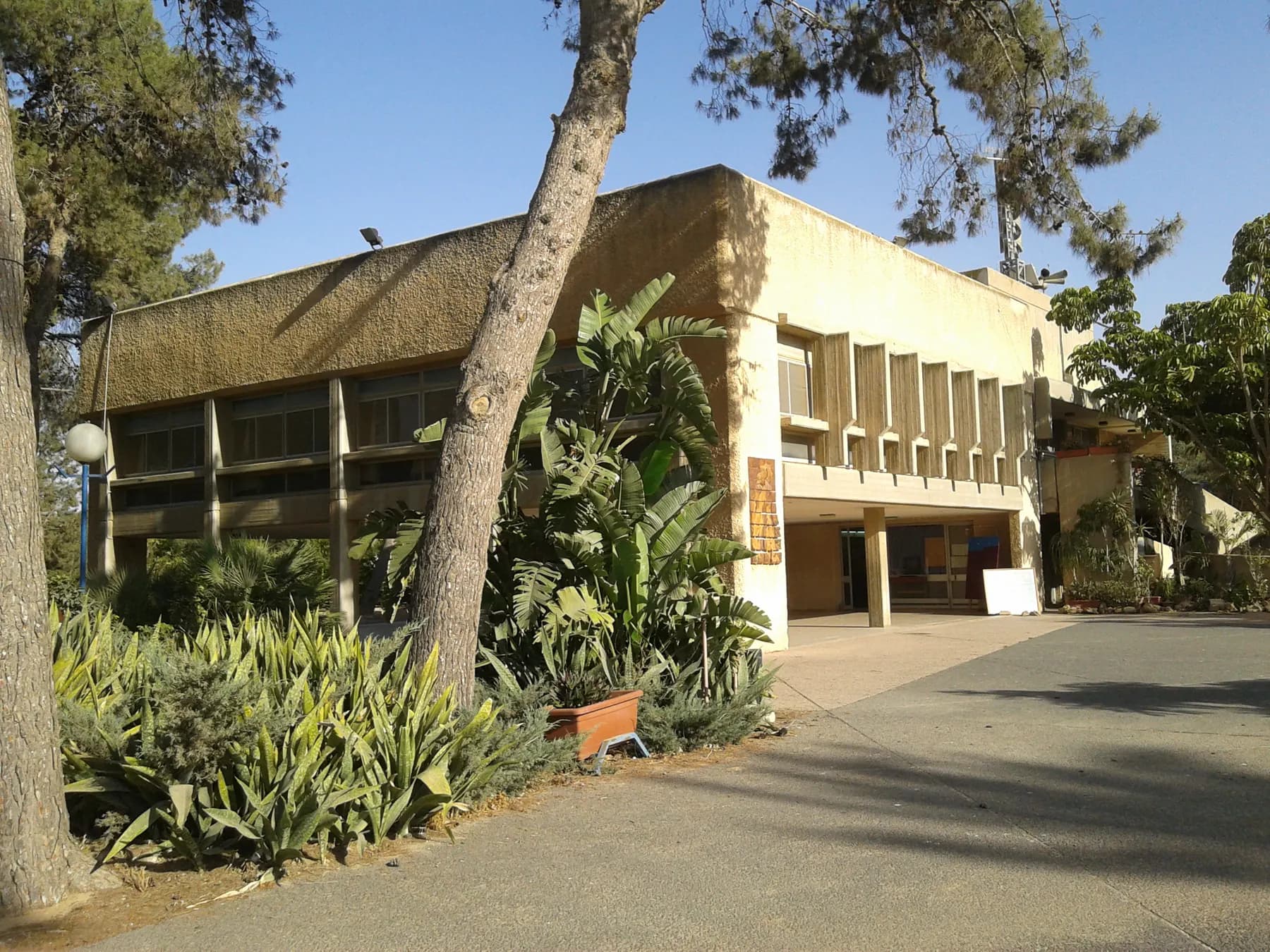 A boxy concrete building with tall vertical fins along its upper windows behind palms, agaves and pine trees in Urim.