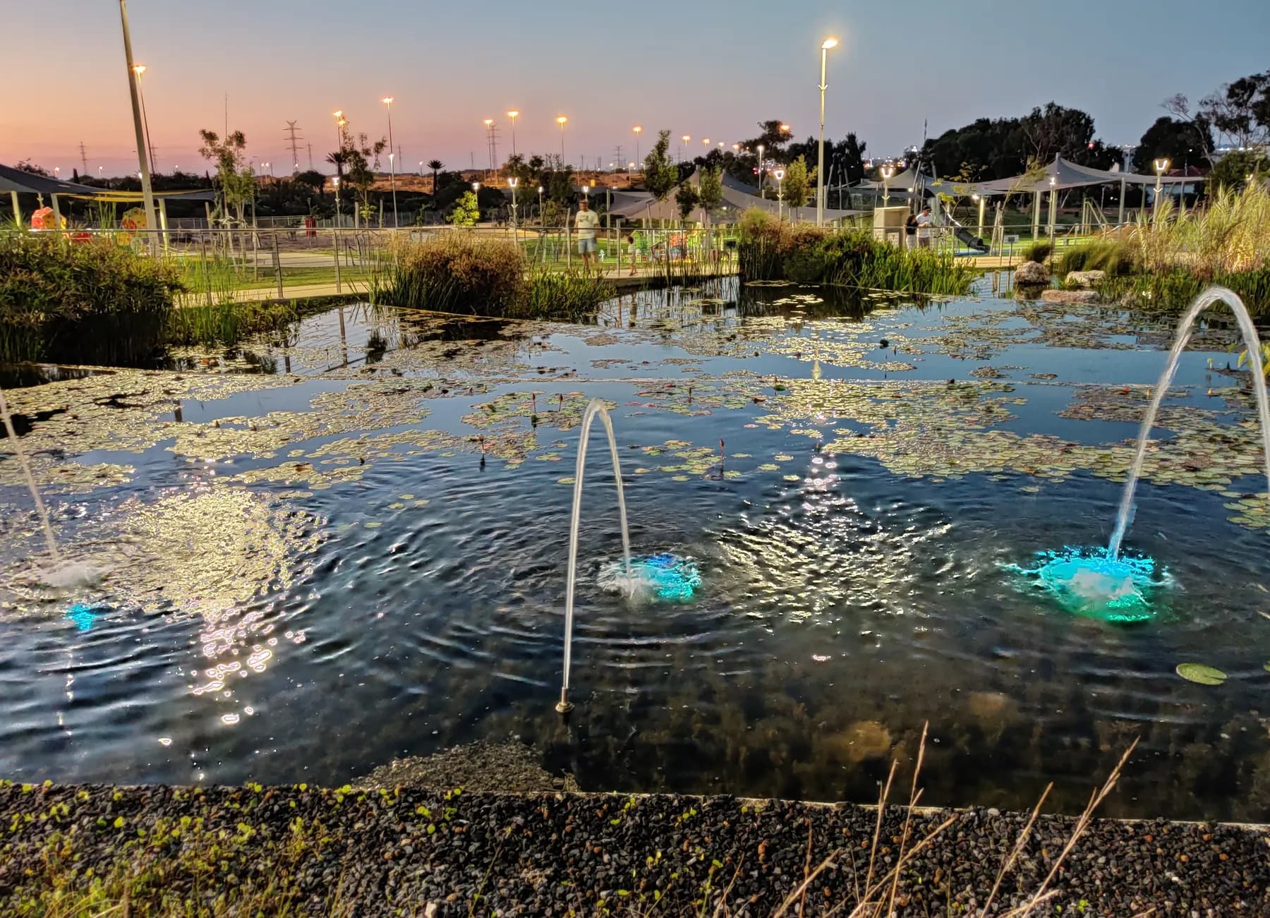 A pond with water lilies and lit fountains in a park in Yavne at dusk, with a playground behind.