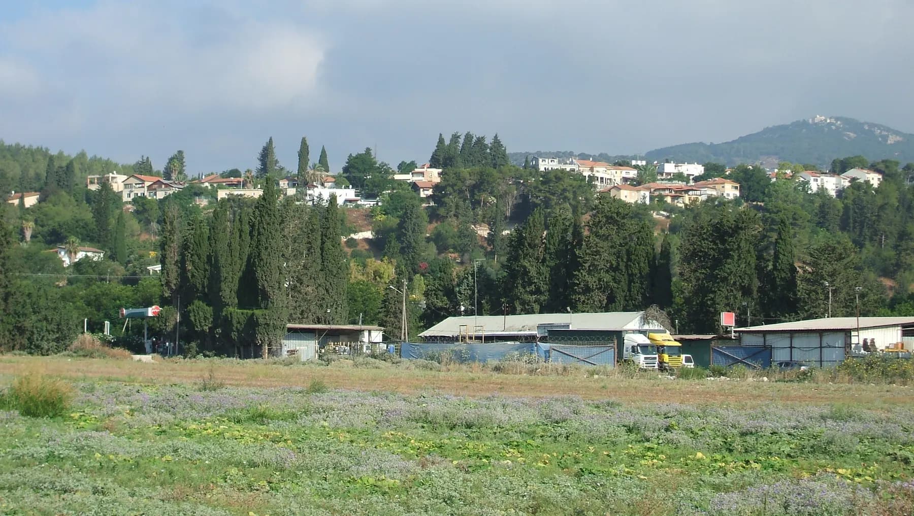 Houses among tall cypress and pine trees on a hillside in Yokneam Moshava, with farm sheds and a meadow in front.