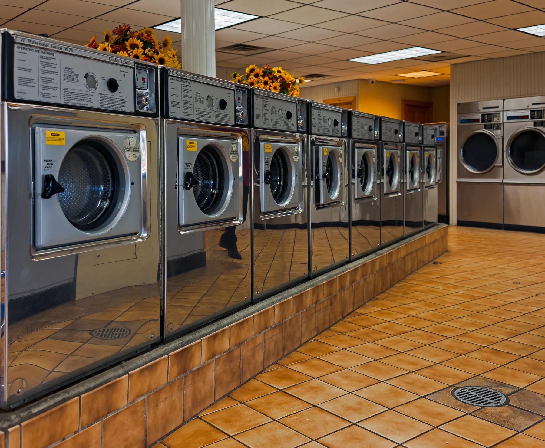 A row of washing machines in a self-service laundry.