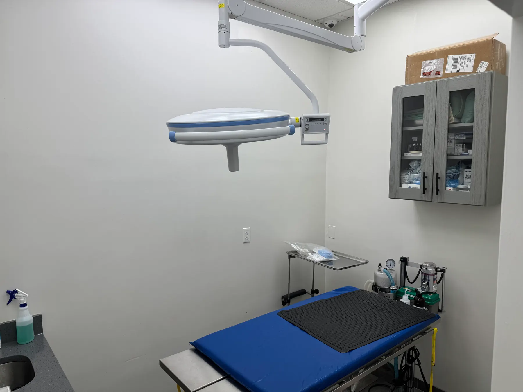 A clean procedure room in a vet clinic, with a padded examination table under a surgical lamp