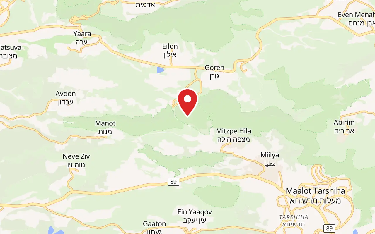 Map showing where Montfort Castle is