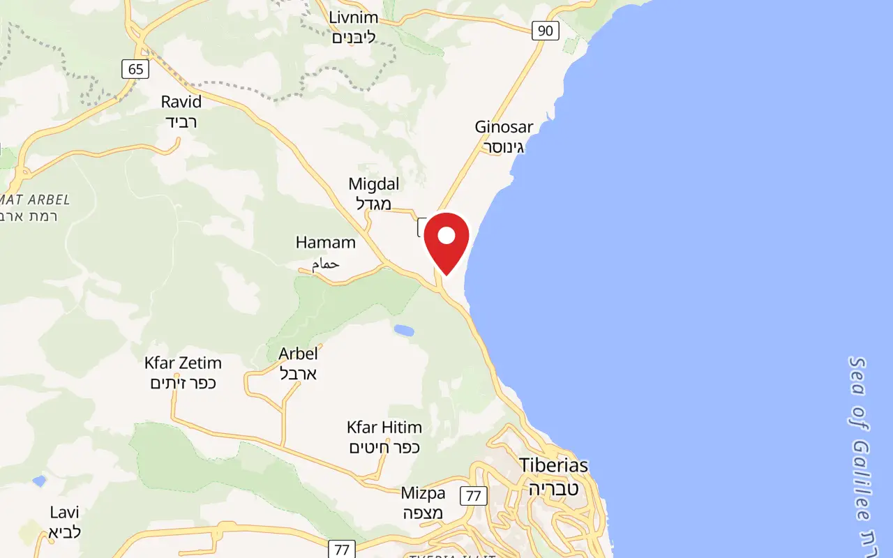 המיקום של מגדל על המפה