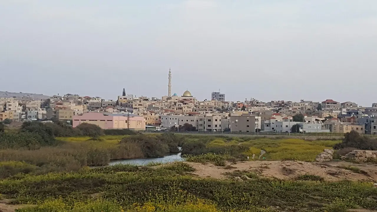 Jisr az-Zarqa seen across the wetland from Tel Taninim