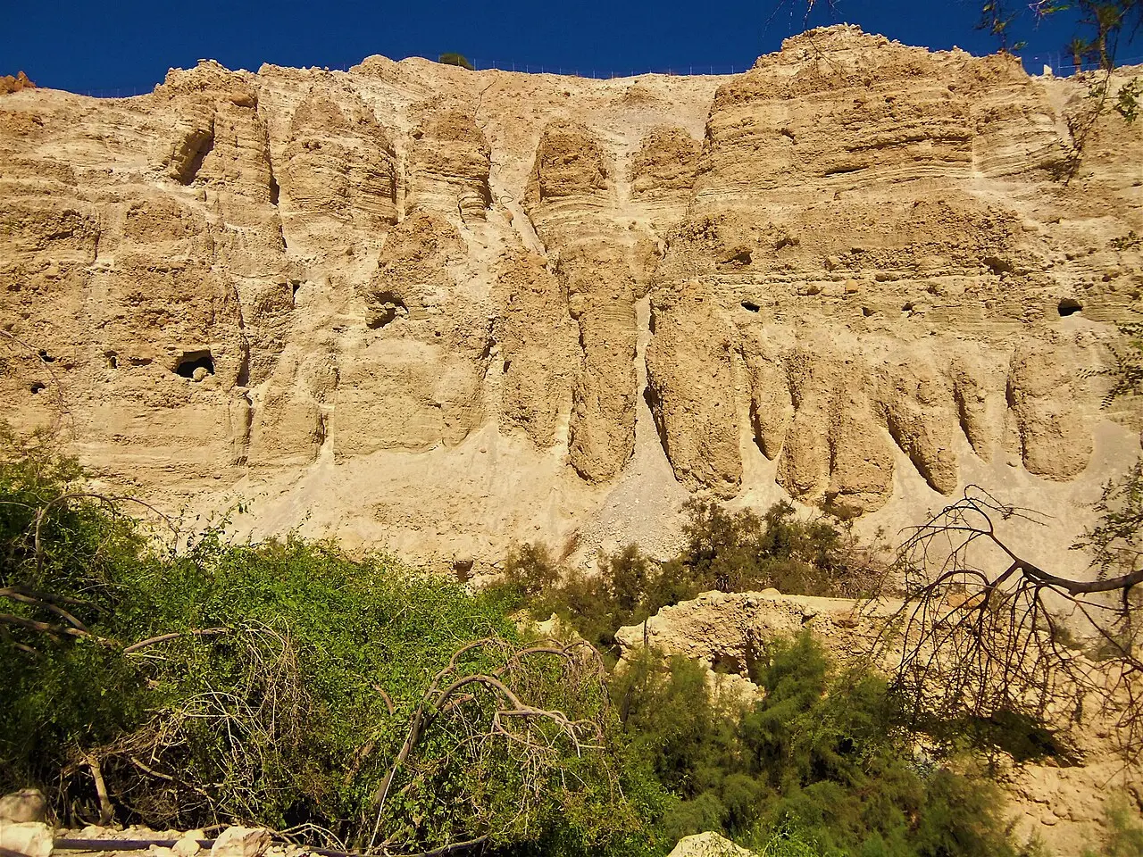 A sandstone cliff above the greenery of a canyon in the Ein Gedi reserve