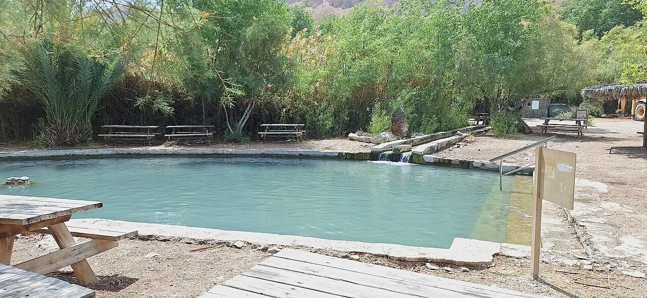 A spring-fed pool edged by reeds and tamarisk in the Einot Tzukim reserve