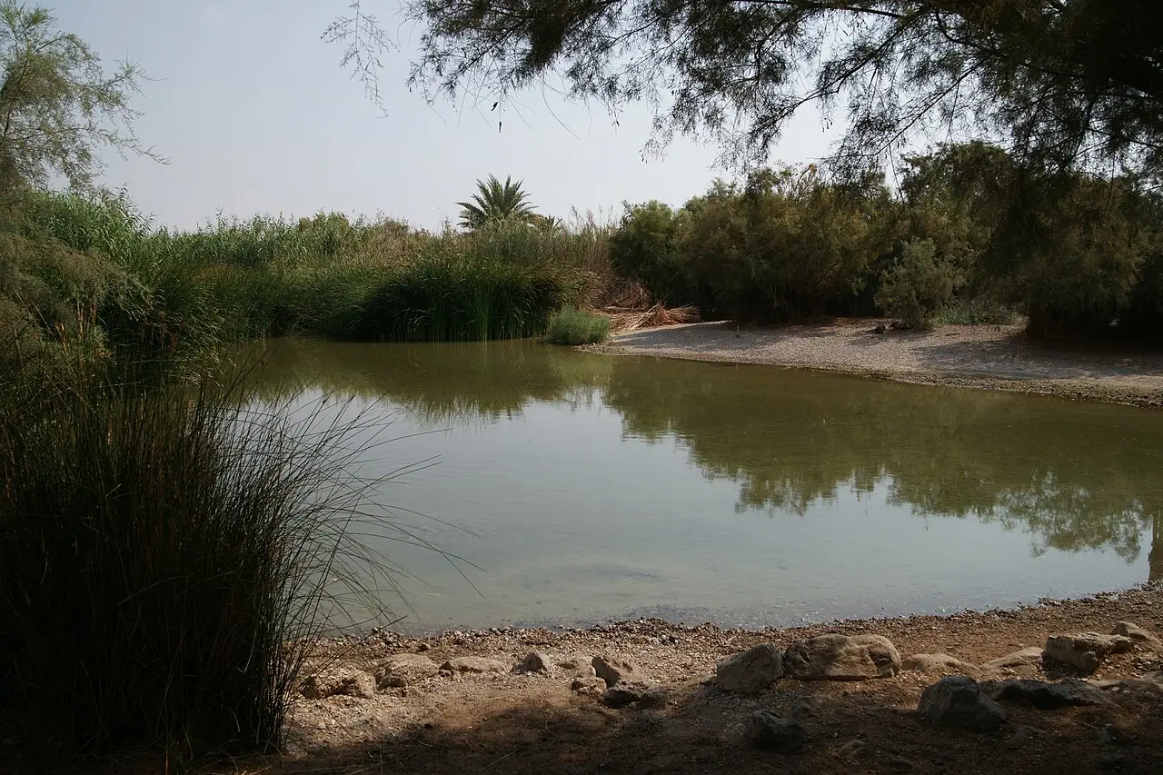 A freshwater pond among tamarisks at Einot Tzukim