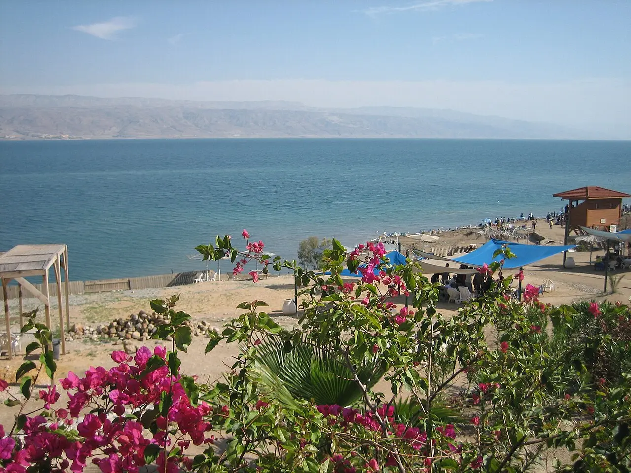 Kalia Beach seen from the terrace above, bougainvillea in the foreground