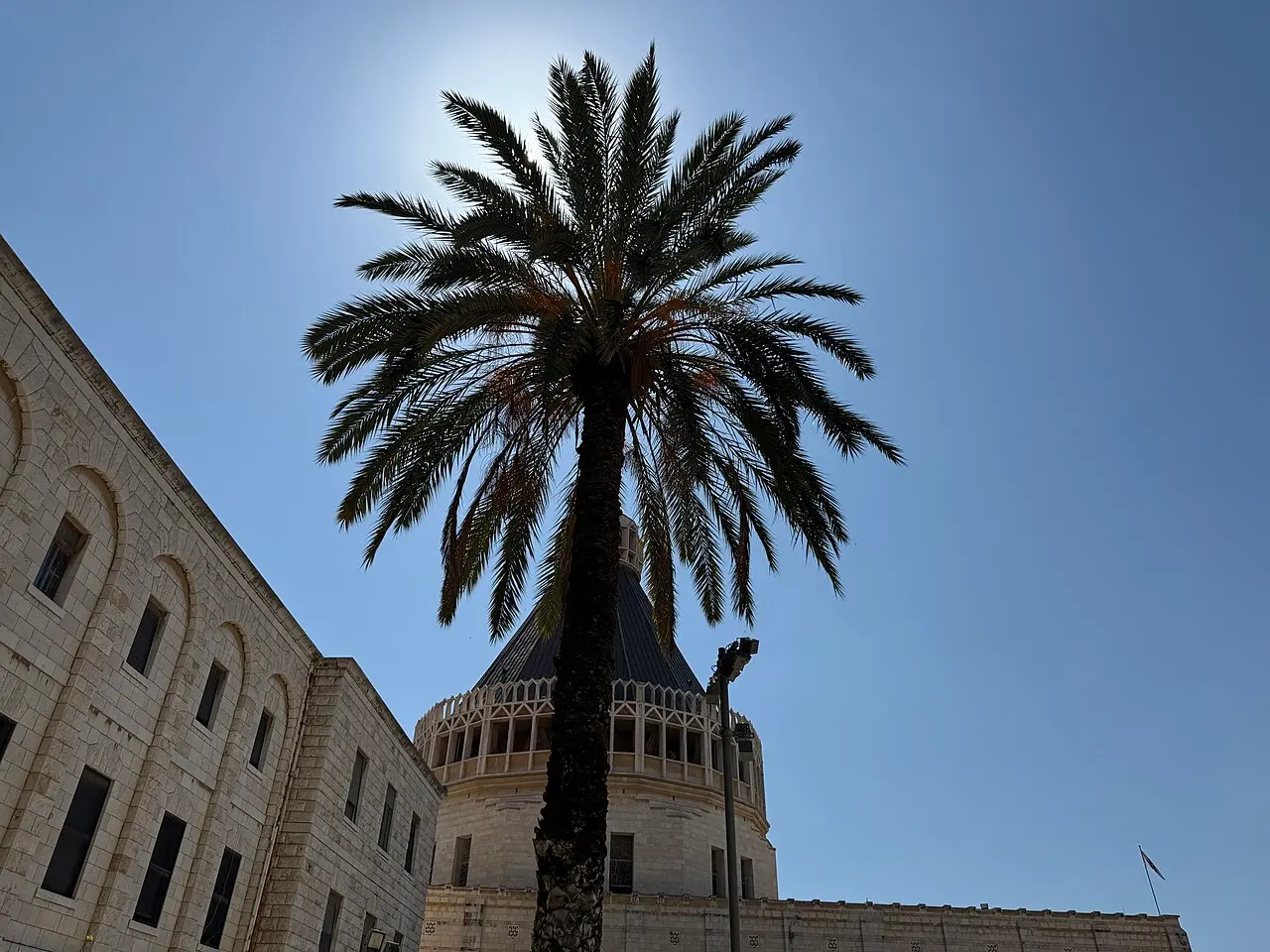 The basilica's lantern dome rising behind a palm, seen from the north