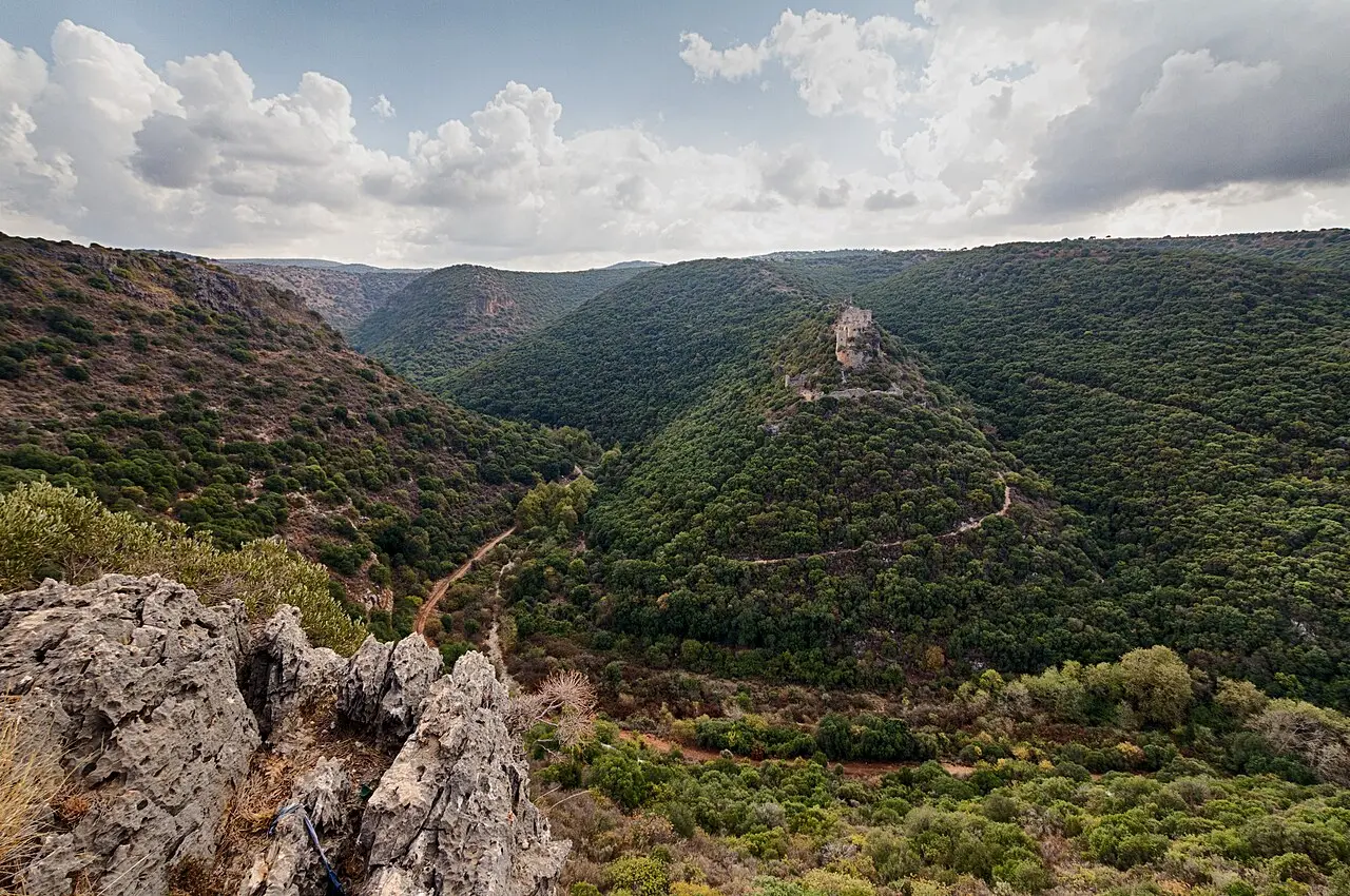 The ridge of Montfort Castle rising out of the forested gorge