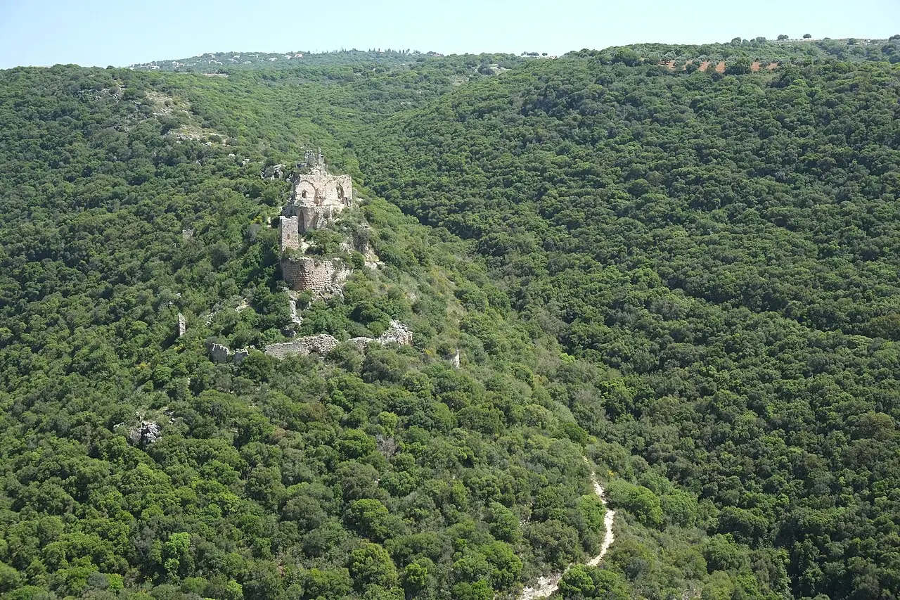 Montfort Castle on its wooded spur above the gorge