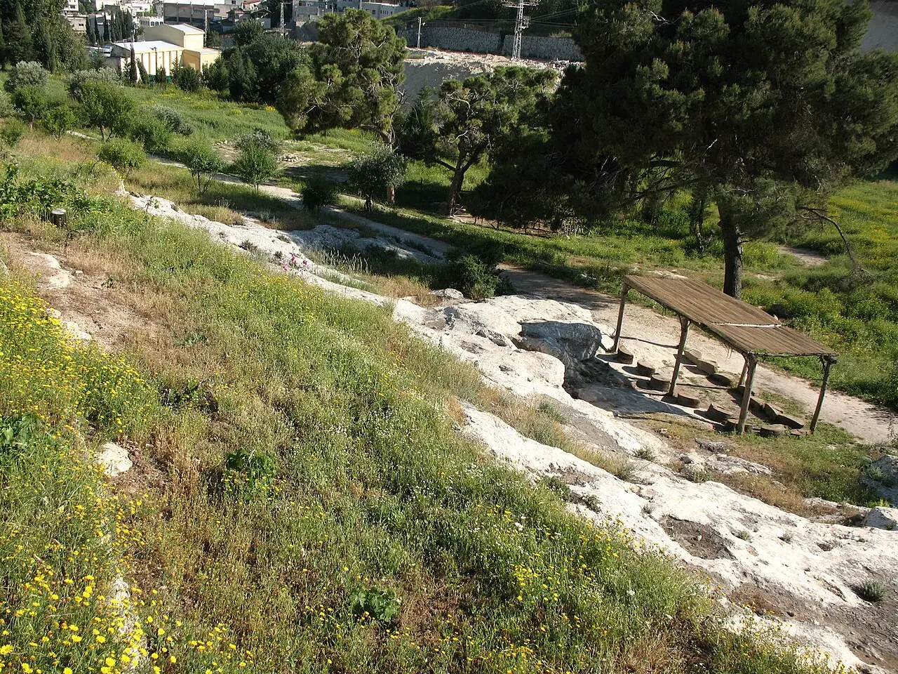 The terraced hillside at Nazareth Village, with a timber shelter among the olive trees