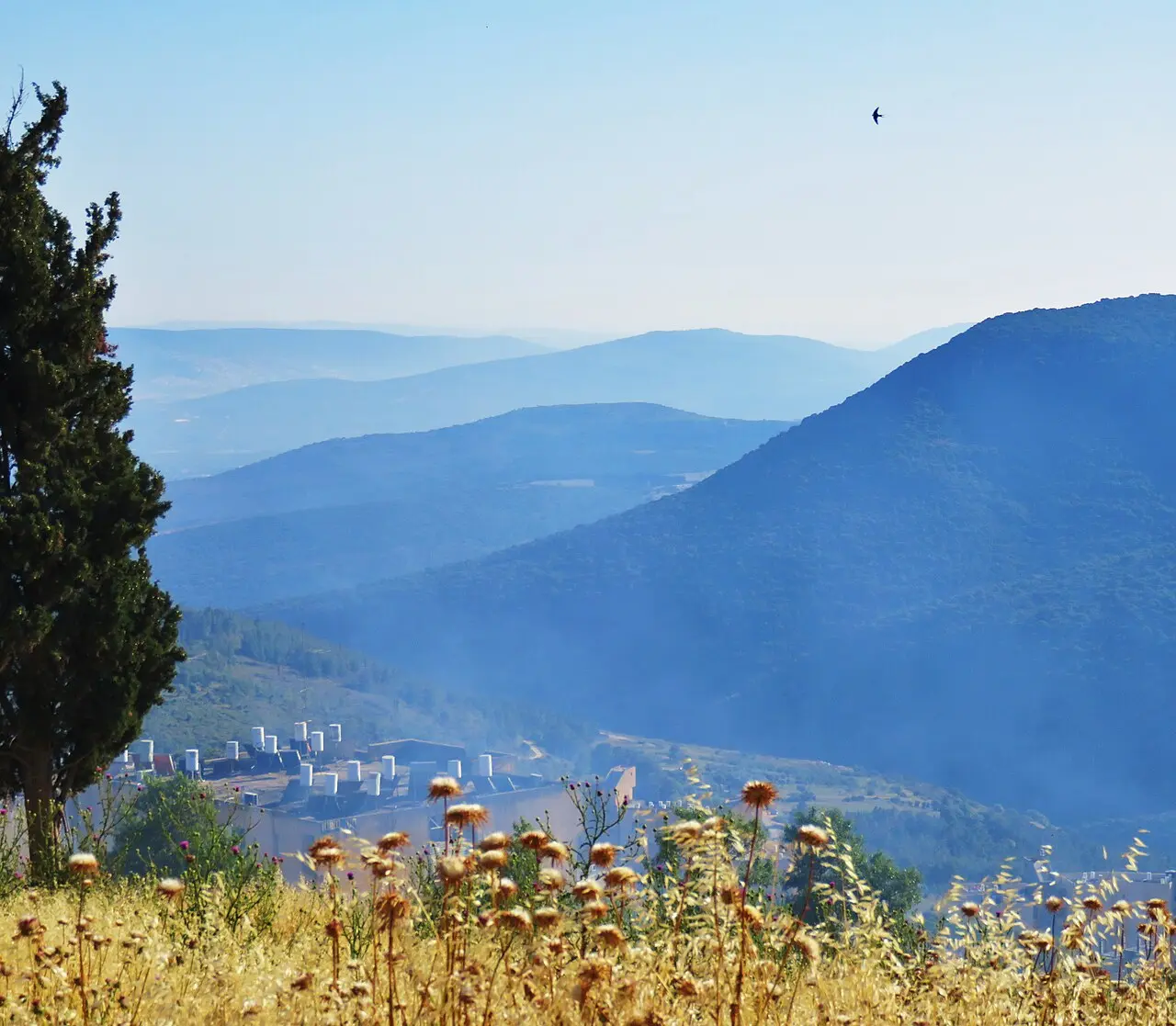 The ridges of the Galilee seen from Safed