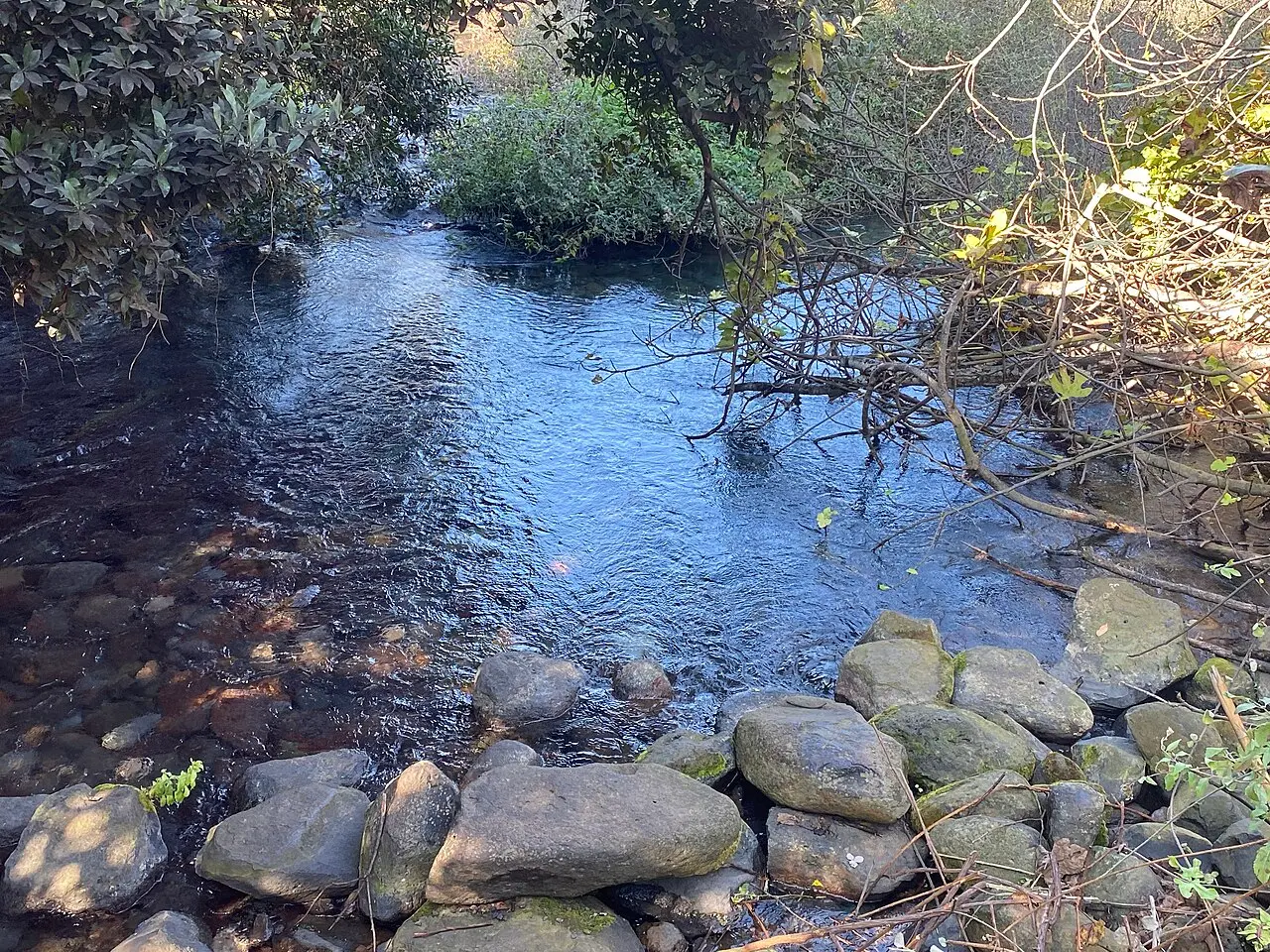 The Dan stream running clear over stones in the Tel Dan reserve