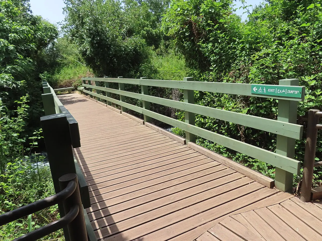 A boardwalk through the trees in the Tel Dan reserve