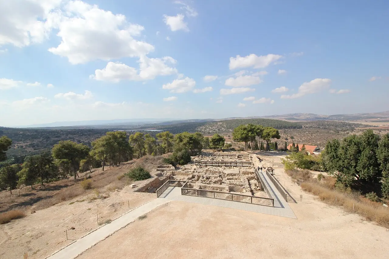The excavated streets of Zippori's lower city, seen from the hill