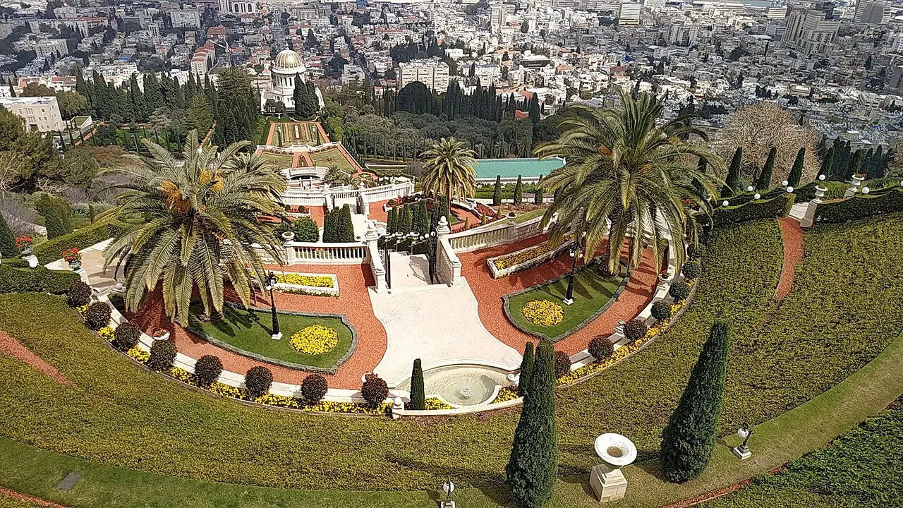 Formal beds, palms and paths on the terraces, seen from above