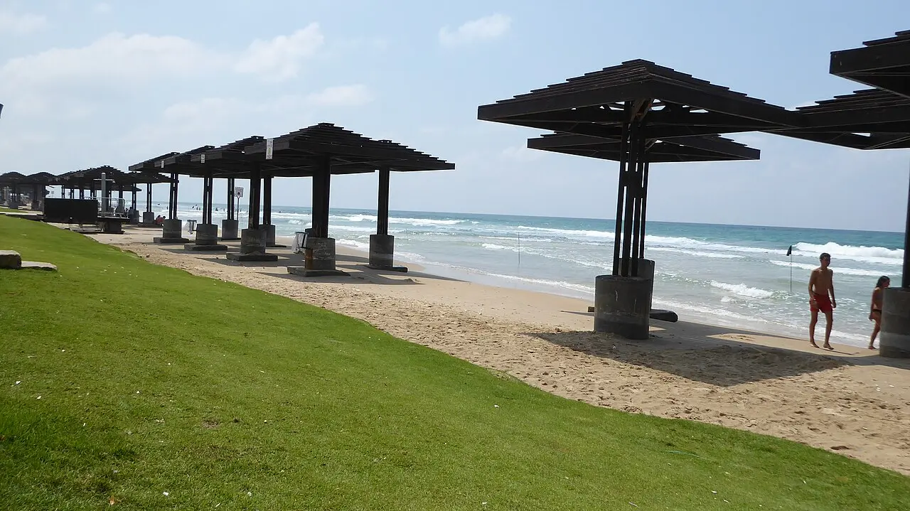 Wooden sunshades on the grass above the sand at Dado Beach, Haifa