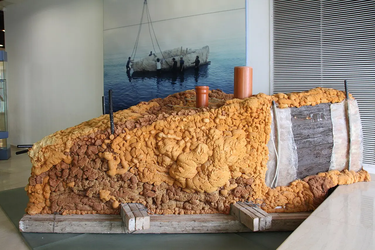 A display of the foam casing in which the ancient hull was floated out of the mud
