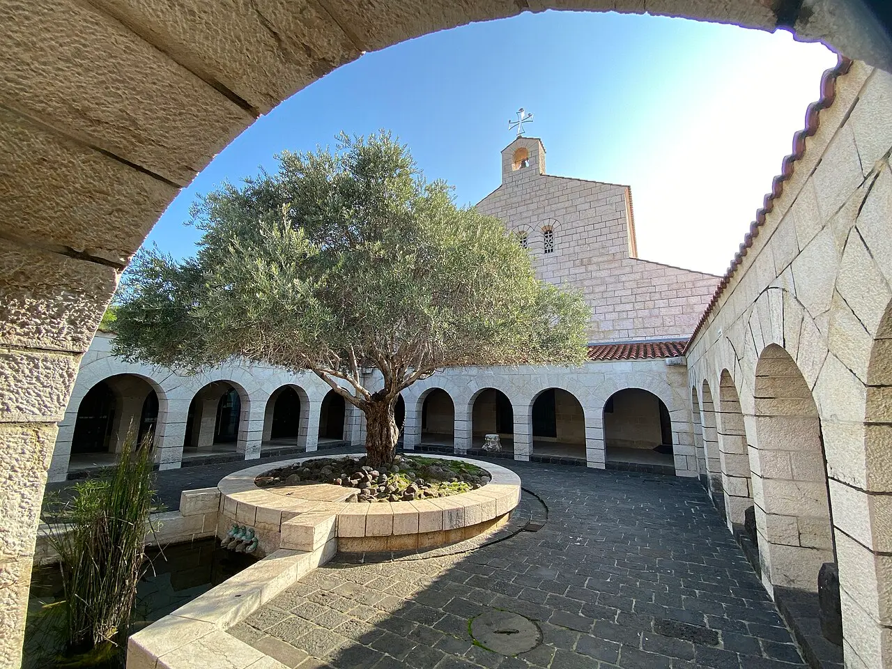 The cloistered courtyard and front of the Church of the Multiplication, an olive tree at its centre
