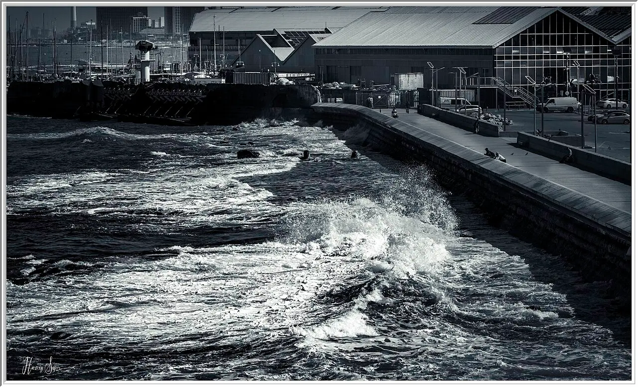 Waves in the old basin of Tel Aviv Port, the hangars behind